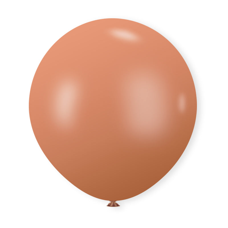 18" Latex Balloons 10 Pcs Retro Warm Pink