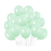 5" Latex Balloons 100 Pcs Macaroon Green