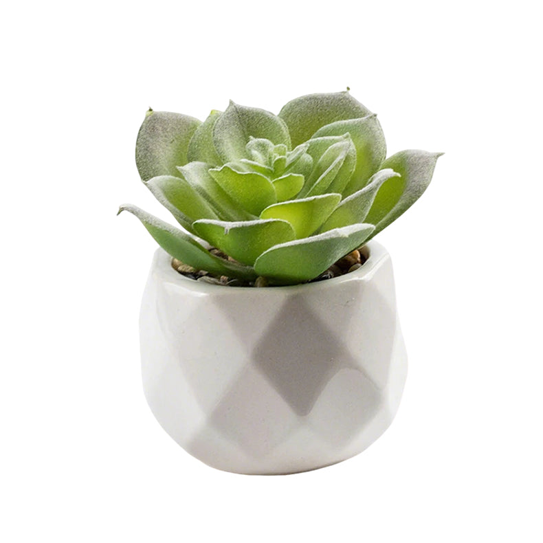 Accent Flowers & Planters