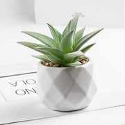 3 Pcs Artificial plant in white ceramic pot Aloe Vera