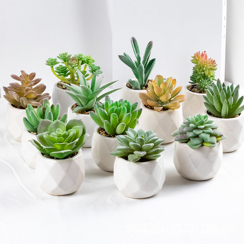 3 Pcs Mini Artificial Tianshan Snow Lotus in Ceramic Pots 3”