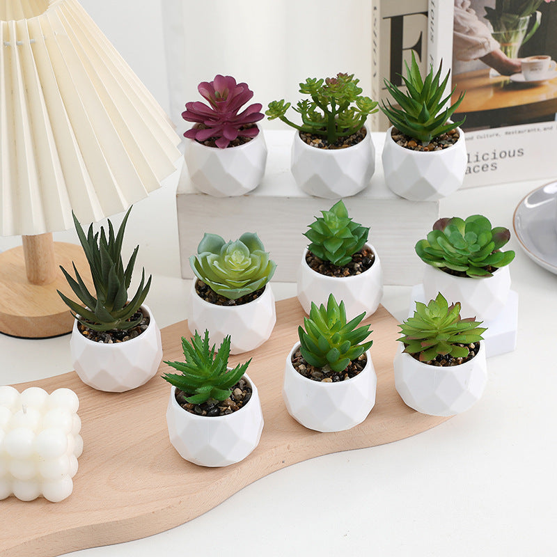 3 Pcs Mini Artificial Tianshan Snow Lotus in Ceramic Pots 3”