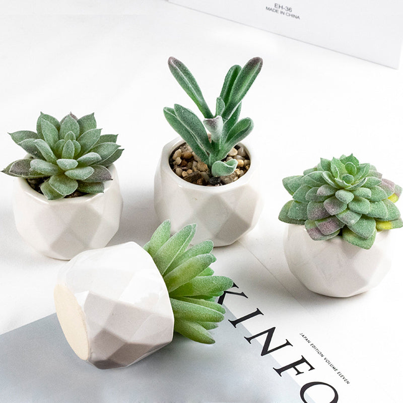 3 Pcs Mini Artificial Tianshan Snow Lotus in Ceramic Pots 3”