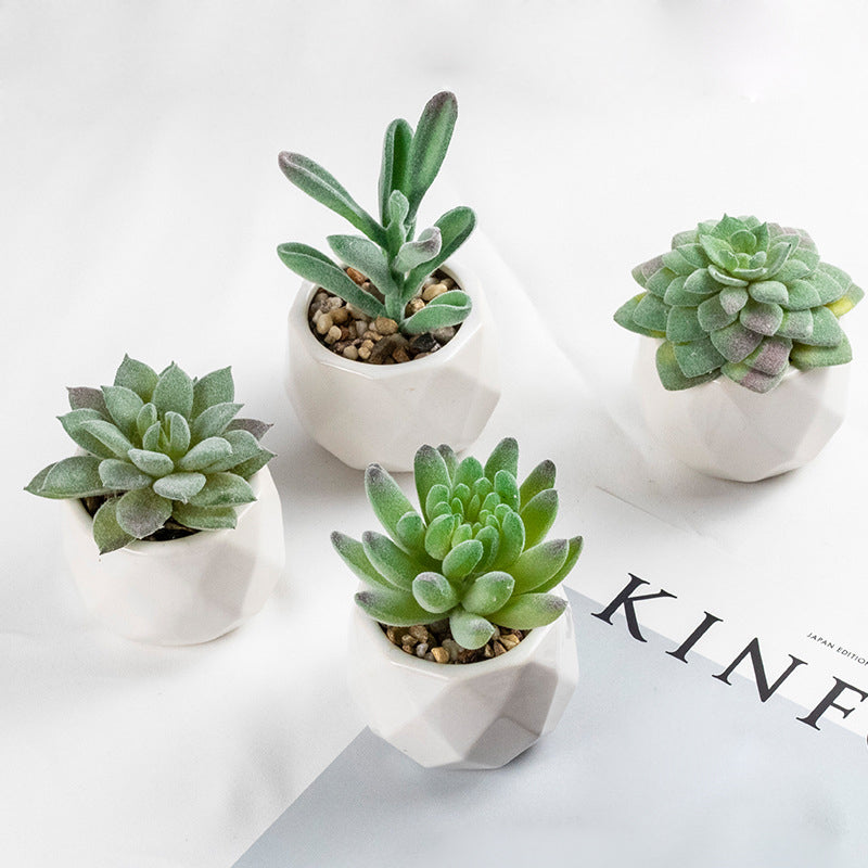 3 Pcs Mini Artificial Tianshan Snow Lotus in Ceramic Pots 3”