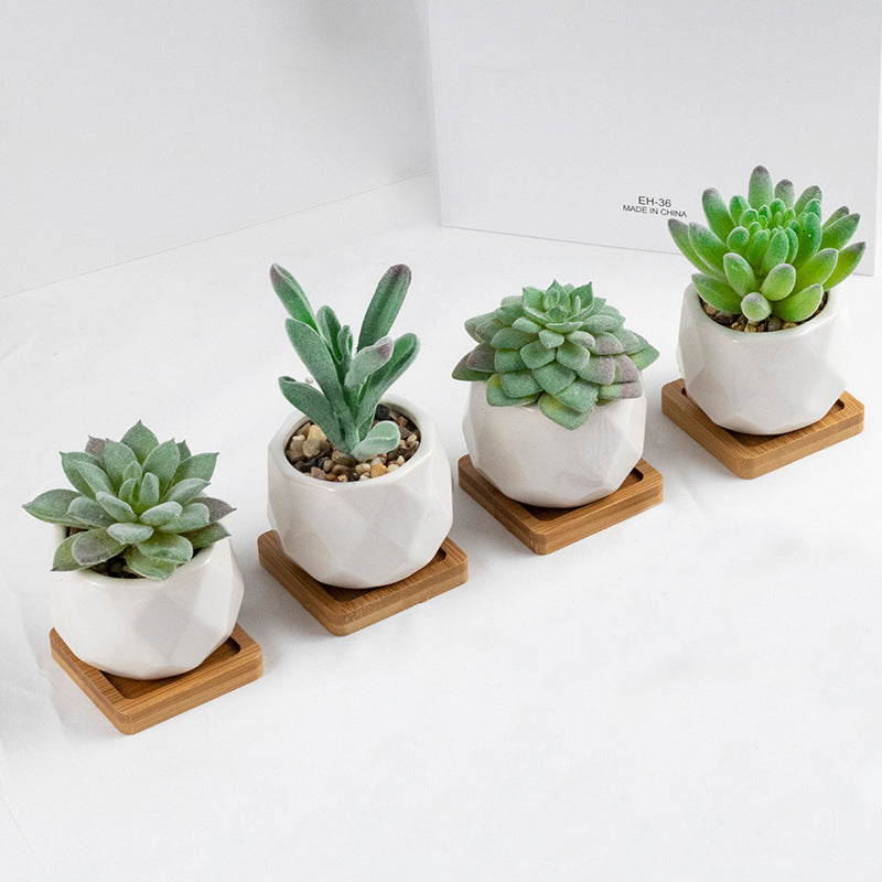 3 Pcs Mini Artificial Tianshan Snow Lotus in Ceramic Pots 3”