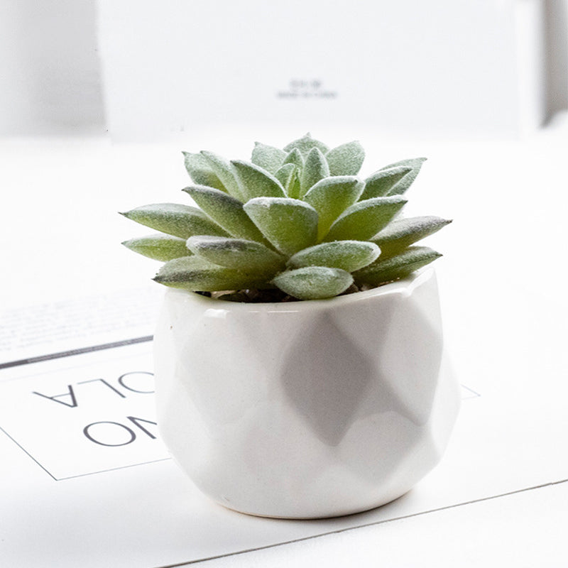 3 Pcs Artificial plant in white ceramic pot Sharp-Horned Lotus