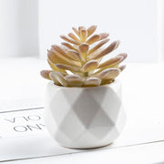 3 Pcs Artificial plant in white ceramic pot Moon Lotus