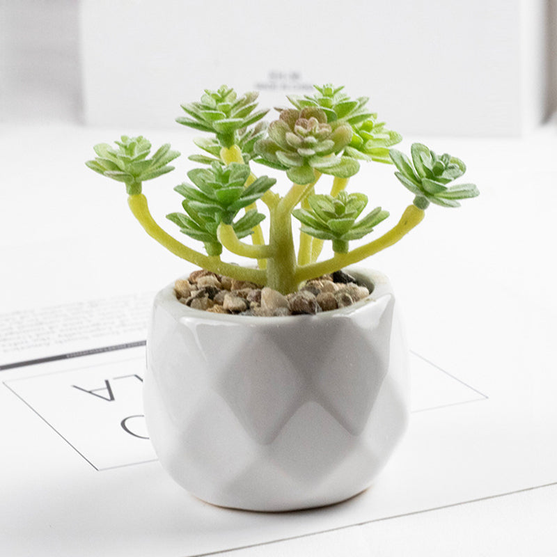 3 Pcs Artificial plant in white ceramic pot Cerataceae