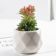 3 Pcs Artificial plant in white ceramic pot Pine Buds