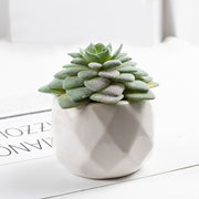 3 Pcs Artificial plant in white ceramic pot Tata Lotus