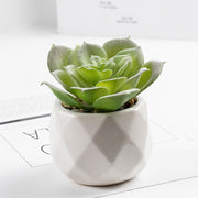 3 Pcs Artificial plant in white ceramic pot Water Lily