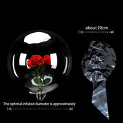 Large Bubble Bobo Balloons set, Globos Burbuja De Pulgadas Transparente, Clear Bubbles Balloon 50PCS 20"/22"