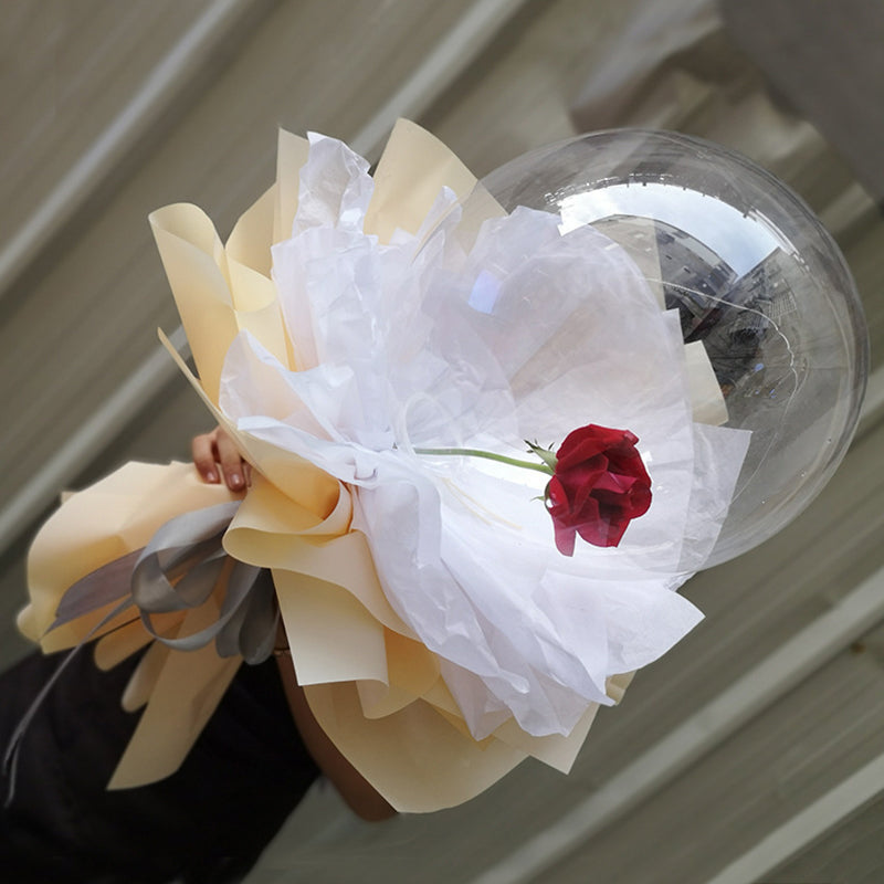 Large Bubble Bobo Balloons set, Globos Burbuja De Pulgadas Transparente, Clear Bubbles Balloon 50PCS 20"/22"