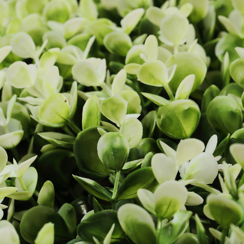 Boxwood Hedge Garden Wall Backdrop Mat 4 Artificial Panels 11 Sq ft White Tip Green