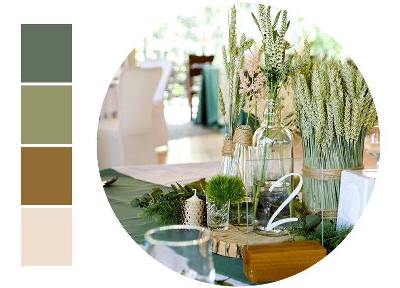 <a href="/collections/fall-green" target="_blank" title="Fall Green">DarkGreen, Avocado Green, Brown, Cream </a>