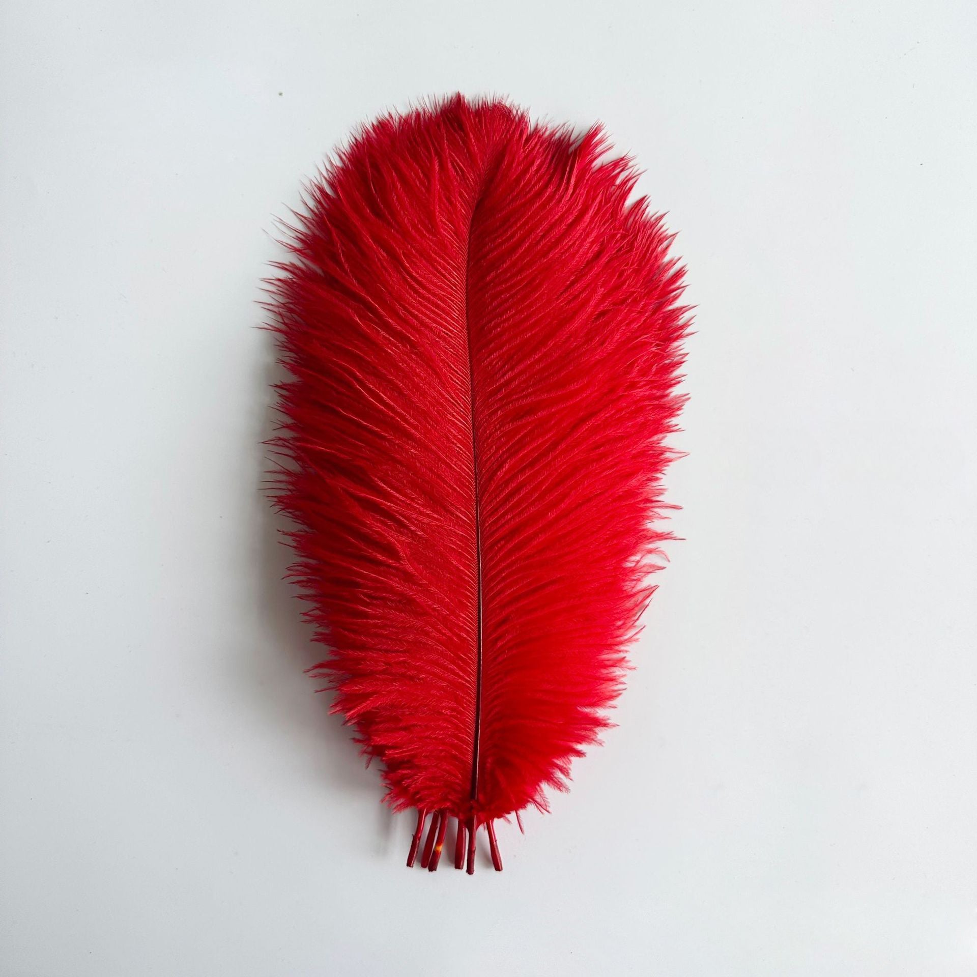 12Pcs Ostrich Feathers 24-26 inch Bulk Feathers Red