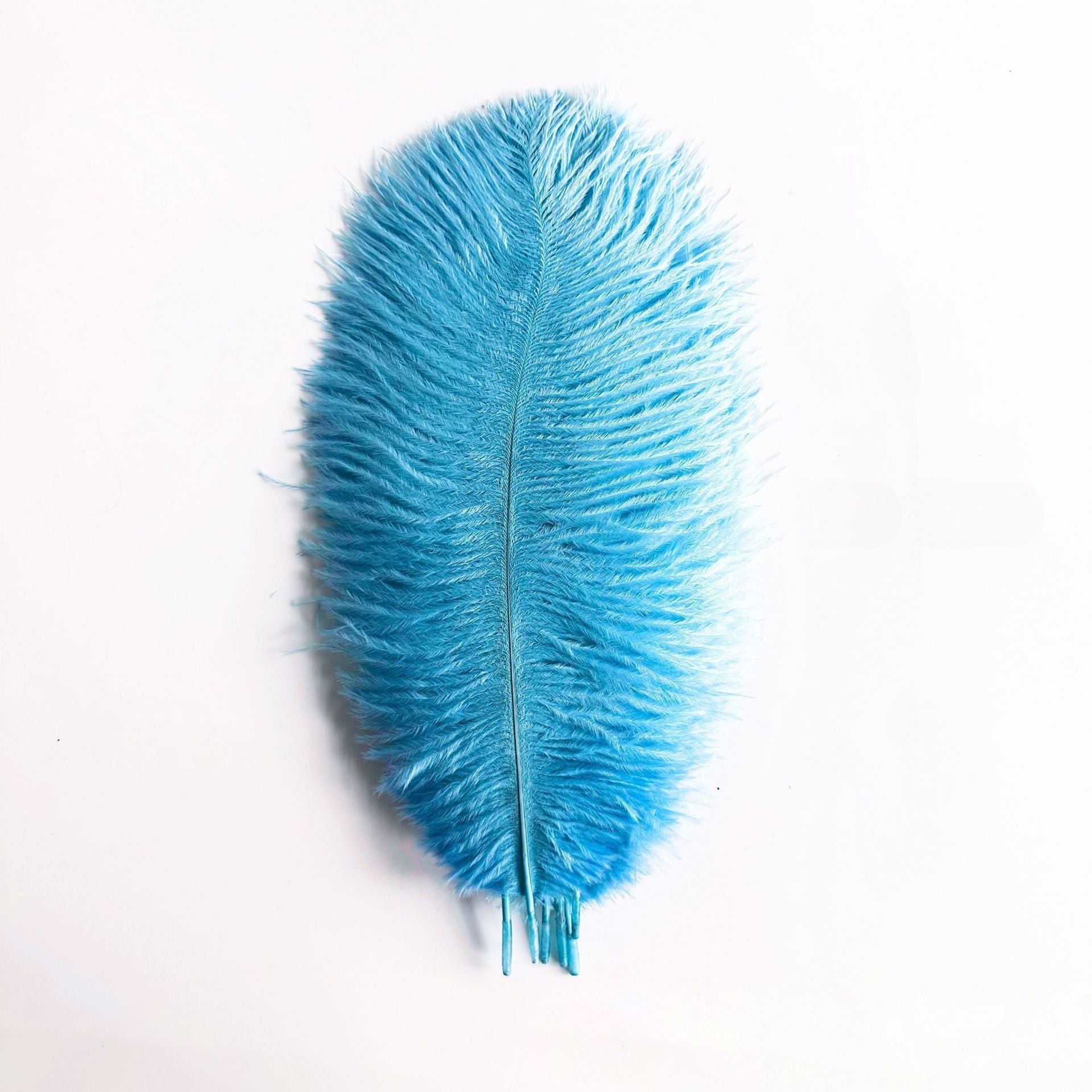 12Pcs Ostrich Feathers 24-26 inch Bulk Feathers Lake Blue