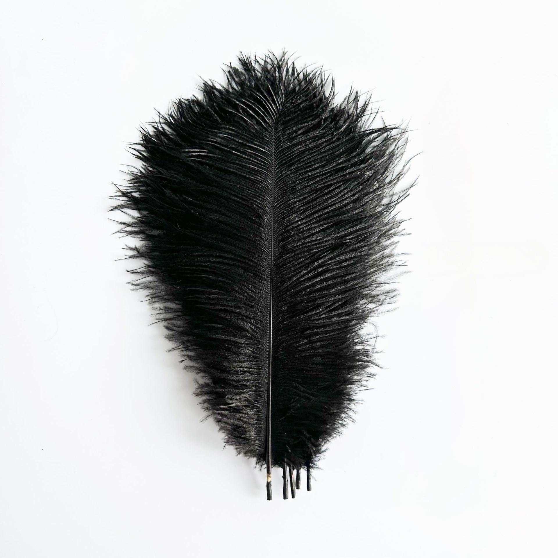 12Pcs Ostrich Feathers 24-26 inch Bulk Feathers Black