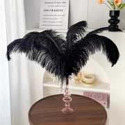 12Pcs Ostrich Feathers 24-26 inch Bulk Feathers Black
