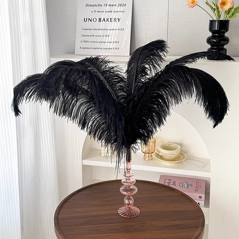 12Pcs Ostrich Feathers 24-26 inch Bulk Feathers Black