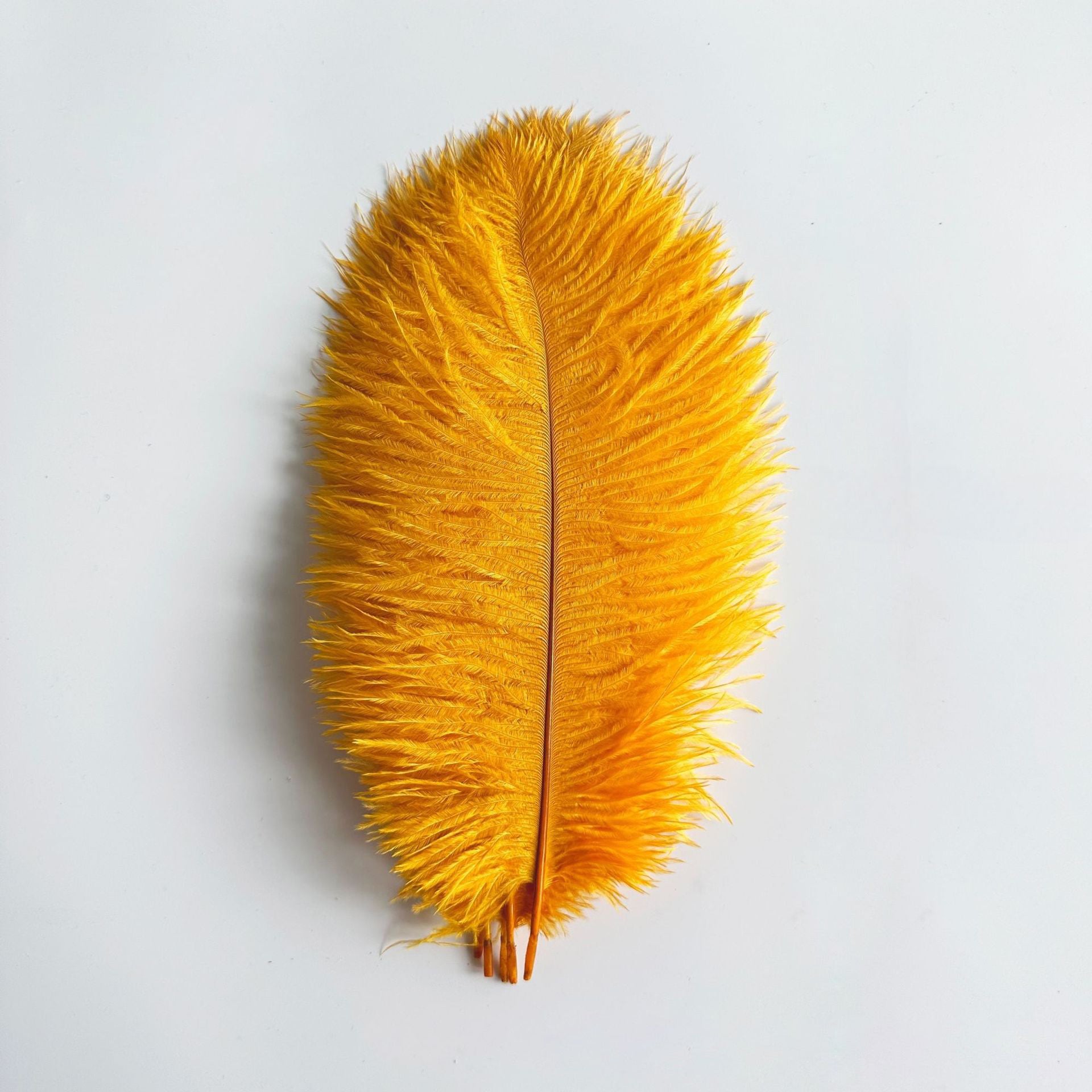 12Pcs Ostrich Feathers 24-26 inch Bulk Feathers Gold