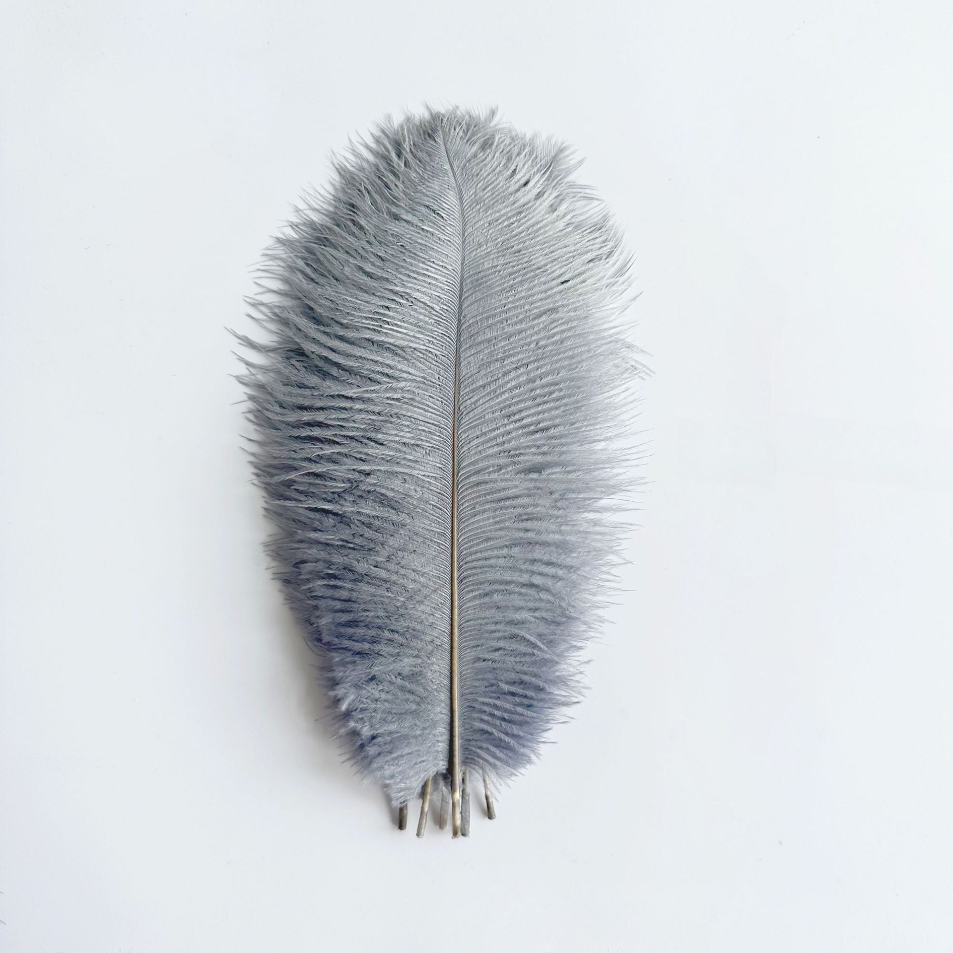 12Pcs Ostrich Feathers 24-26 inch Bulk Feathers Gray