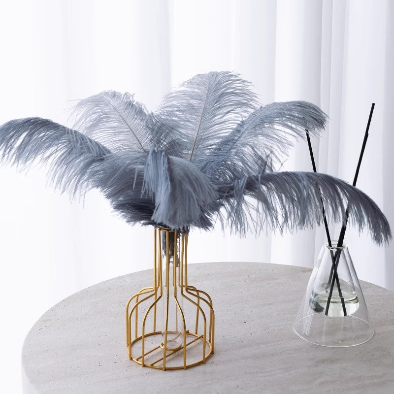 12Pcs Ostrich Feathers 24-26 inch Bulk Feathers Gray