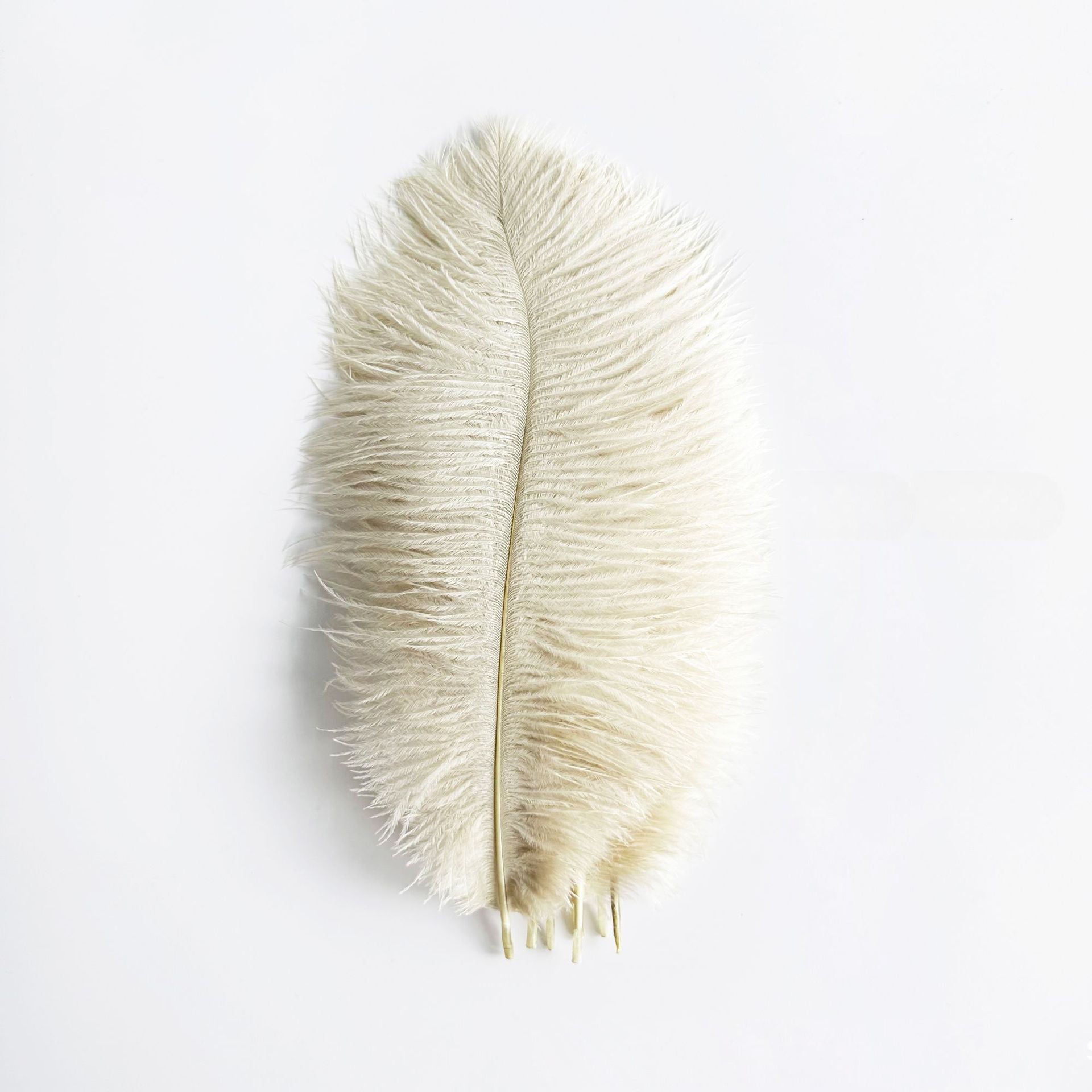 12Pcs Ostrich Feathers 24-26 inch Bulk Feathers Beige