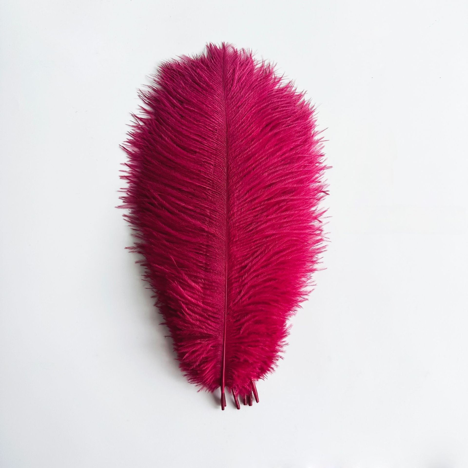 12Pcs Ostrich Feathers 24-26 inch Bulk Feathers Wine Red