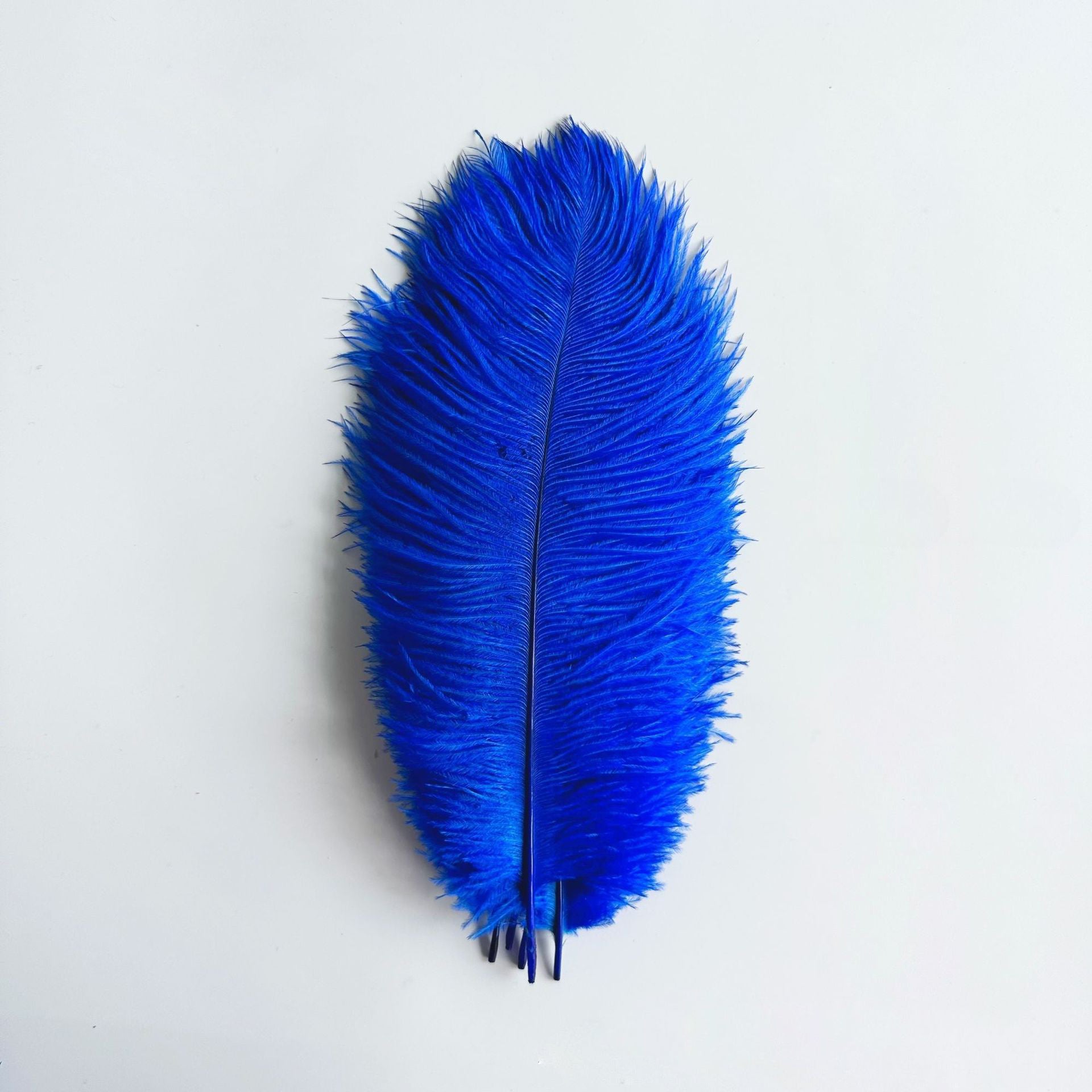 12Pcs Ostrich Feathers 24-26 inch Bulk Feathers Royal Blue