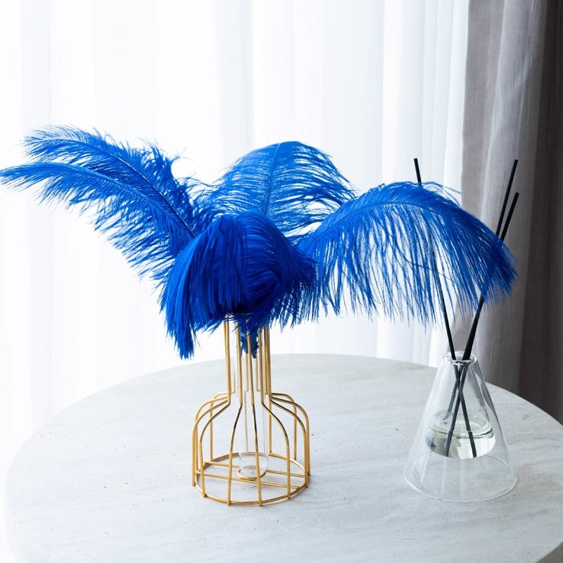 12Pcs Ostrich Feathers 24-26 inch Bulk Feathers Royal Blue