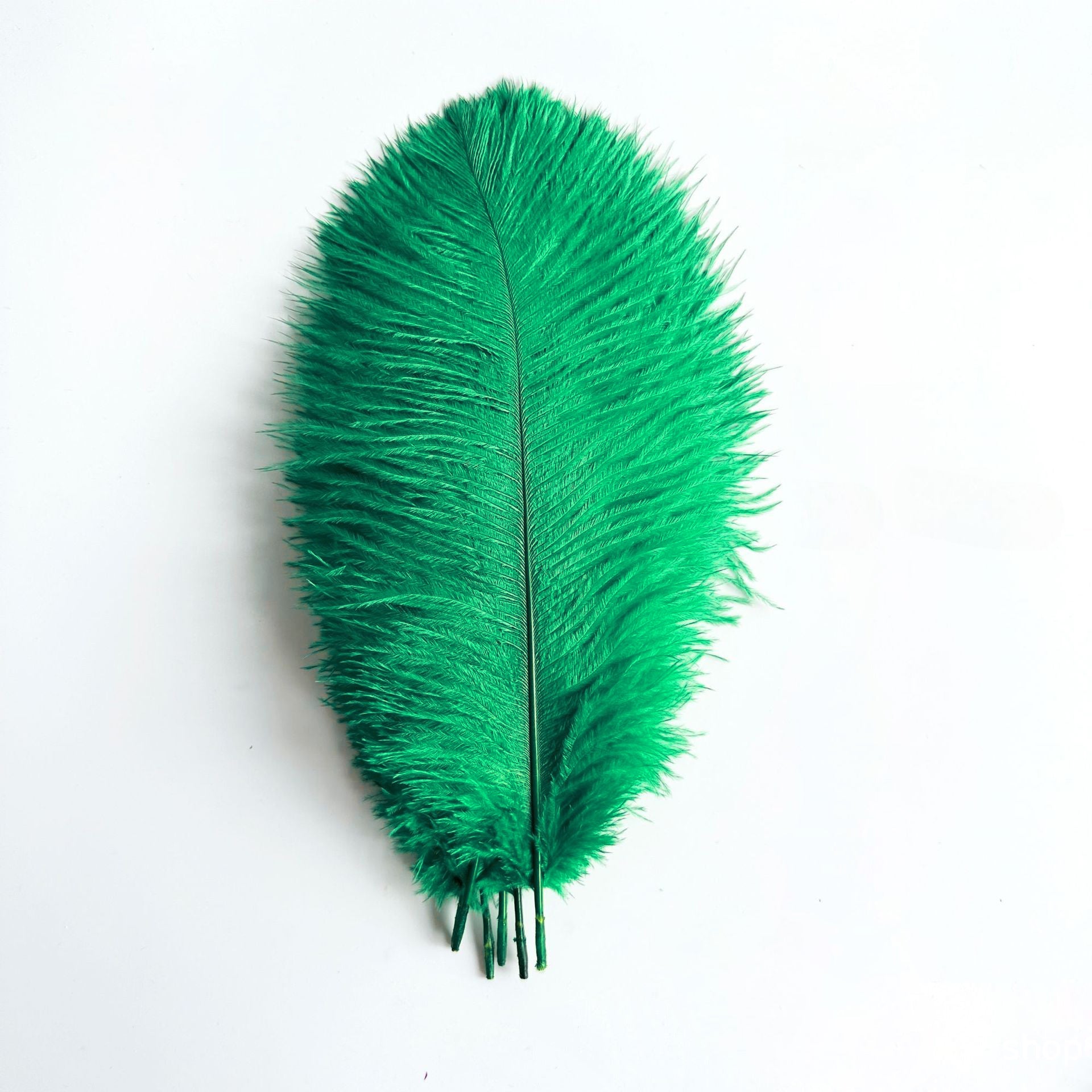 12Pcs Ostrich Feathers 24-26 inch Bulk Feathers Meadow Green