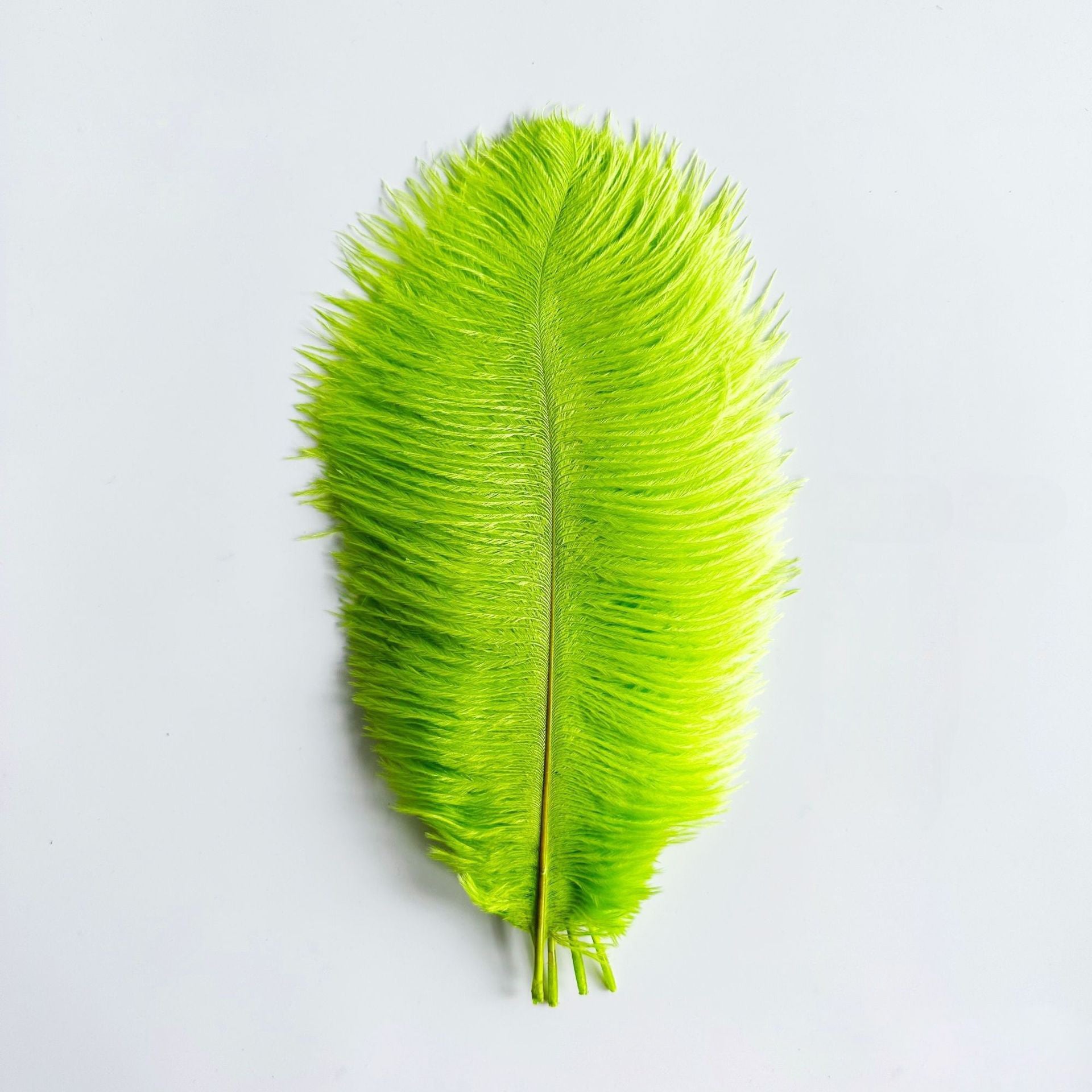 12Pcs Ostrich Feathers 24-26 inch Bulk Feathers Lime Green