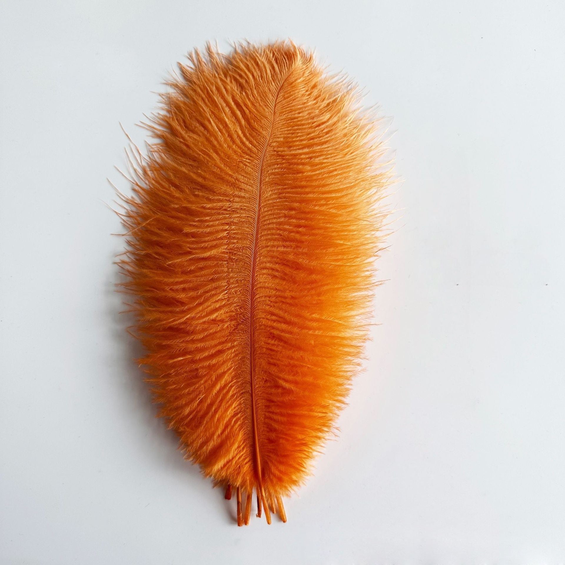 12Pcs Ostrich Feathers 24-26 inch Bulk Feathers Orange