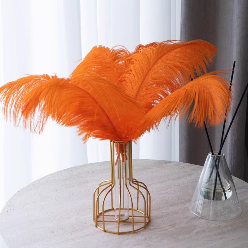 12Pcs Ostrich Feathers 24-26 inch Bulk Feathers Orange