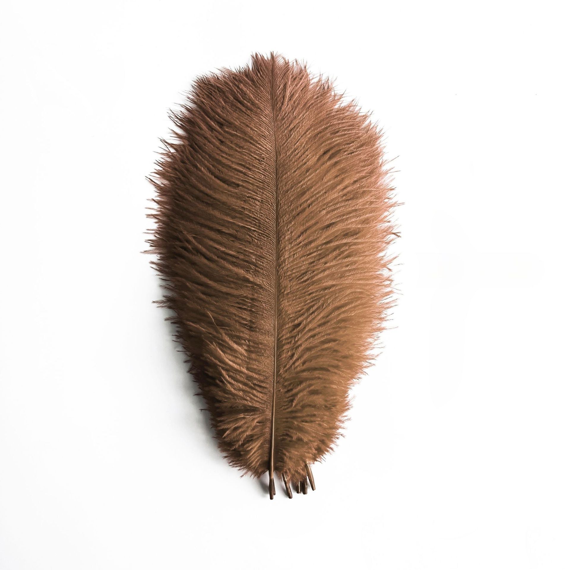 12Pcs Ostrich Feathers 24-26 inch Bulk Feathers Coffee