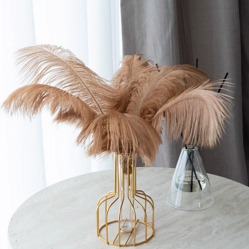12Pcs Ostrich Feathers 24-26 inch Bulk Feathers Coffee