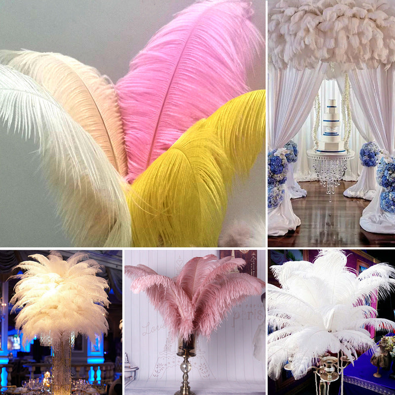 12Pcs Ostrich Feathers 24-26 inch Bulk Feathers Orange