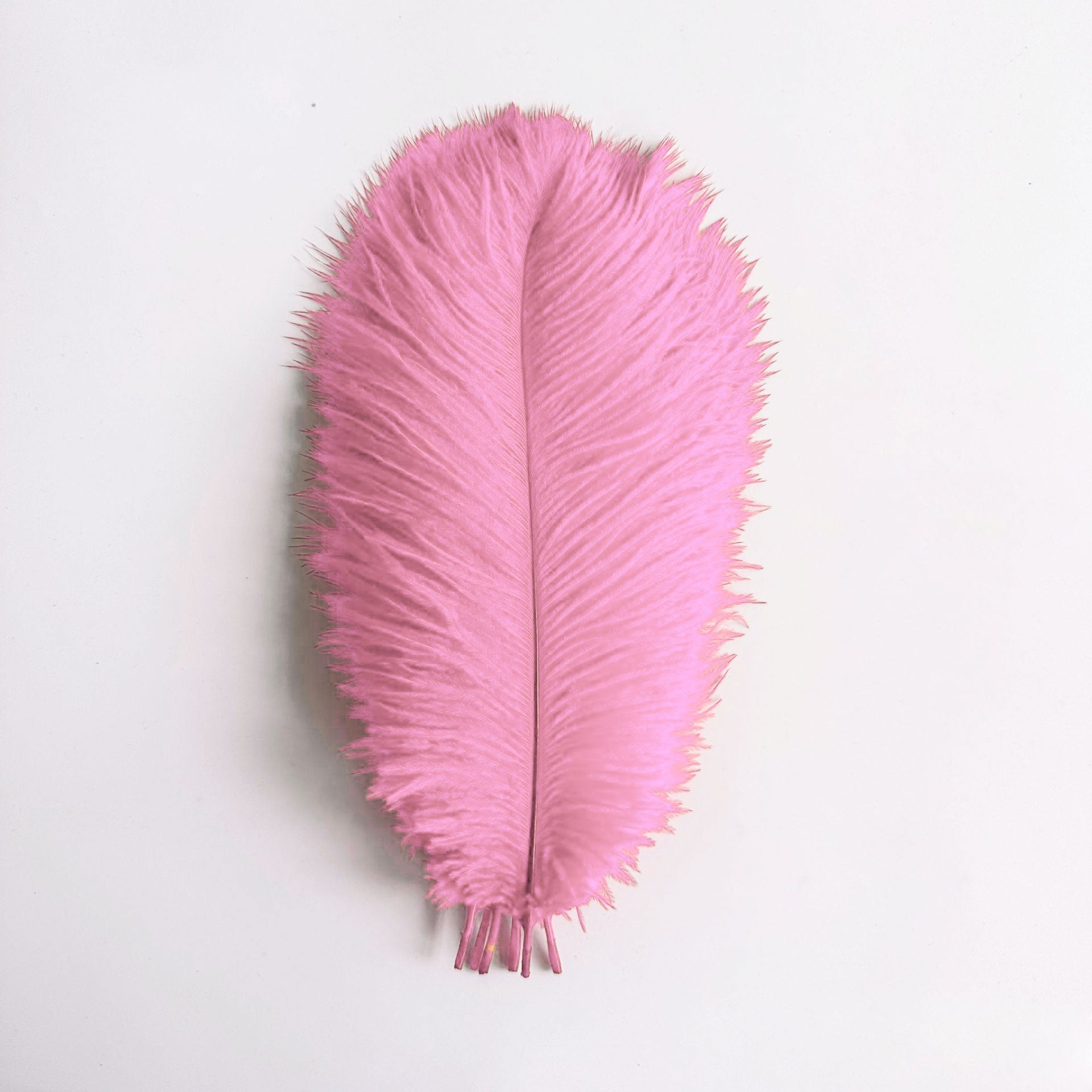 12Pcs Ostrich Feathers 24-26 inch Bulk Feathers Pink