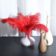 12Pcs Ostrich Feathers 13-16 Inch Bulk Feathers Red