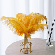 12Pcs Ostrich Feathers 13-16 Inch Bulk Feathers Gold