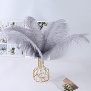 12Pcs Ostrich Feathers 24-26 inch Bulk Feathers Gray