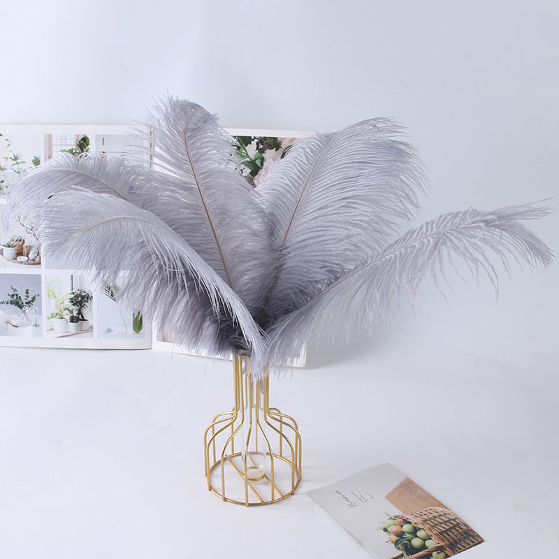 12Pcs Ostrich Feathers 24-26 inch Bulk Feathers Gray