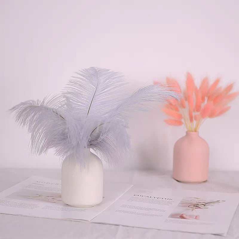 12Pcs Ostrich Feathers 13-16 Inch Bulk Feathers Gray