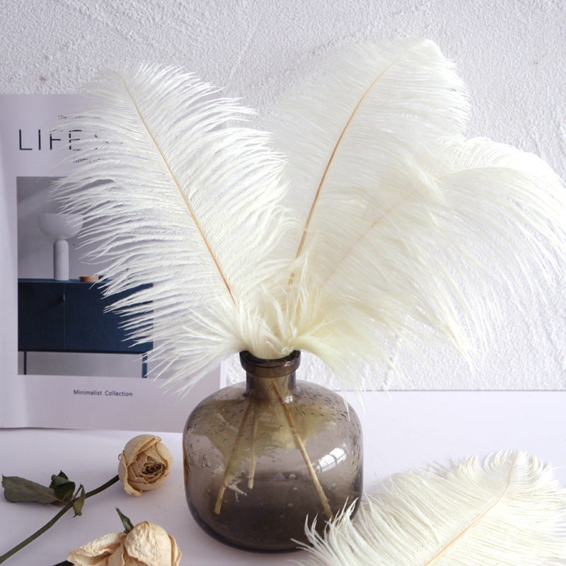12Pcs Ostrich Feathers 13-16 Inch Bulk Feathers White