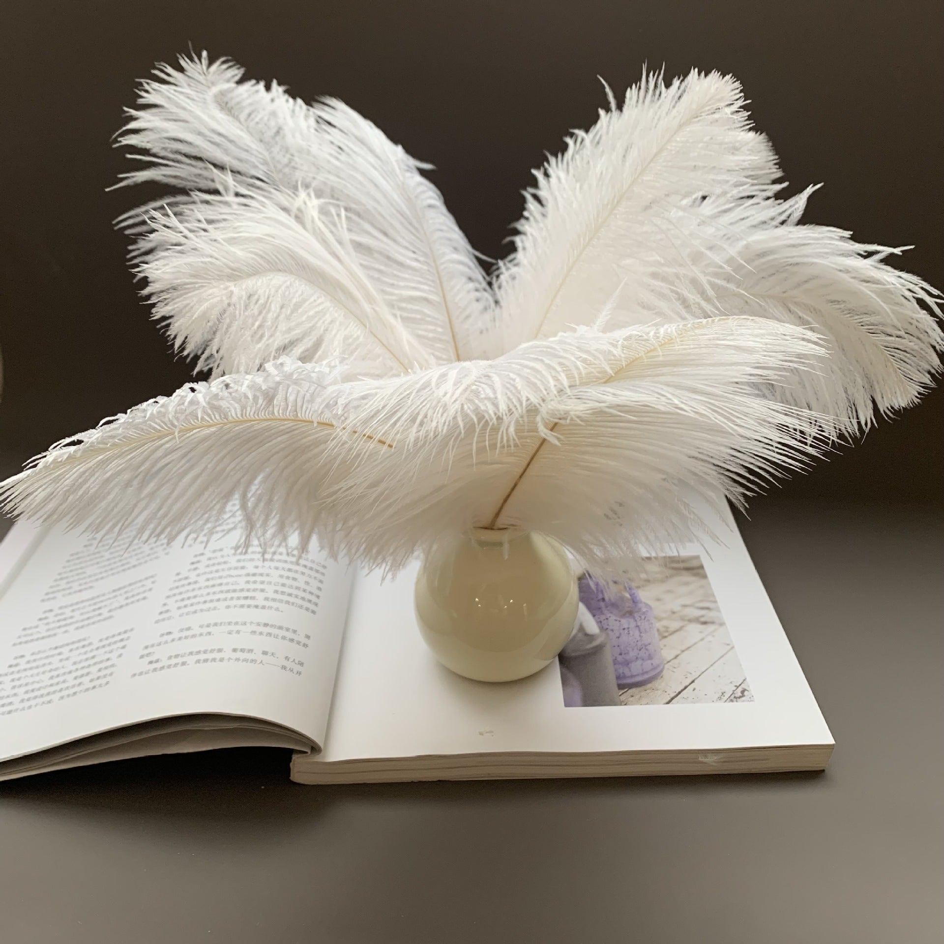 12Pcs Ostrich Feathers 24-26 inch Bulk Feathers Beige