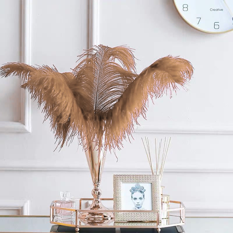 12Pcs Ostrich Feathers 24-26 inch Bulk Feathers Coffee