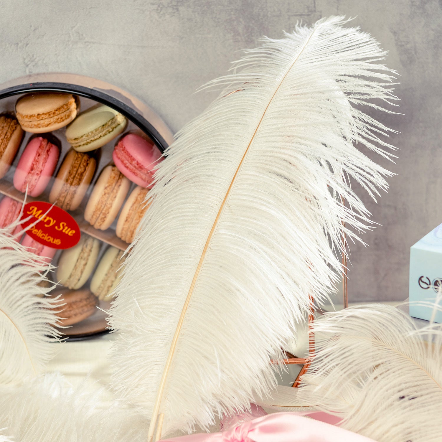 12Pcs Ostrich Feathers 24-26 inch Bulk Feathers Beige