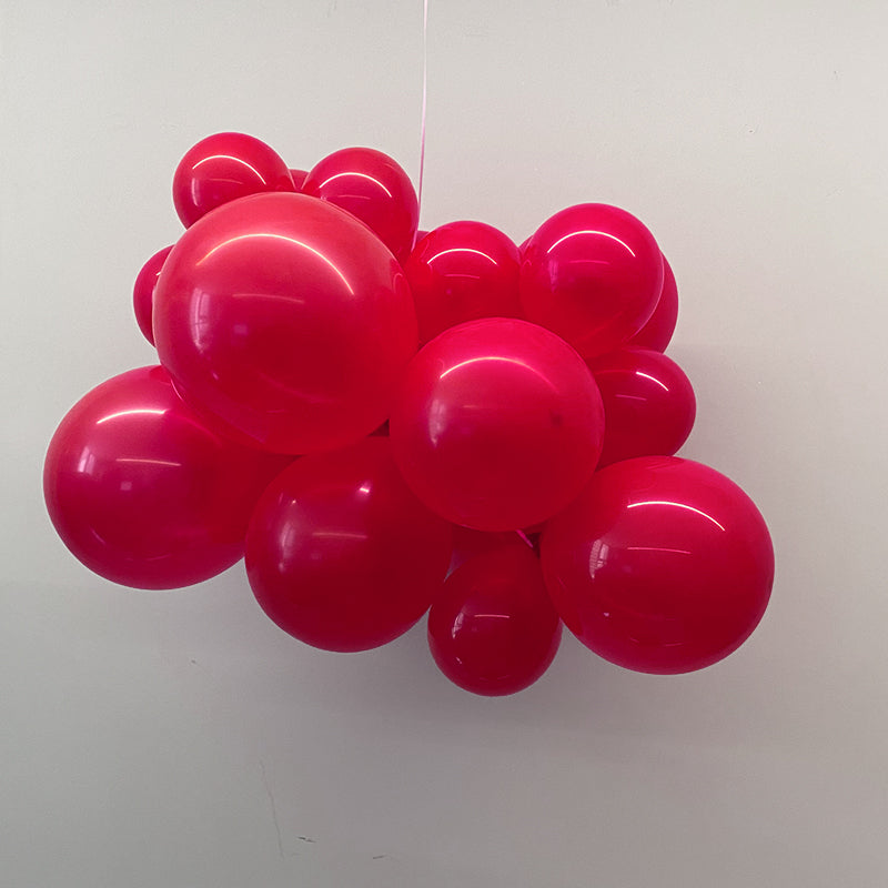 Matte 10" Latex Balloons 100 Pcs Wild Red
